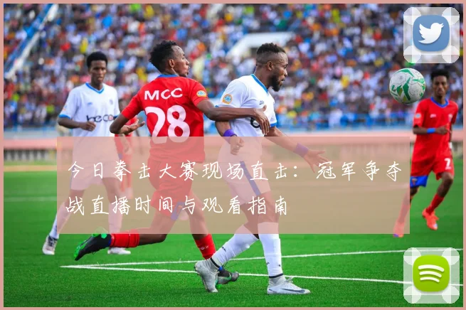 今日拳击大赛现场直击：冠军争夺战直播时间与观看指南