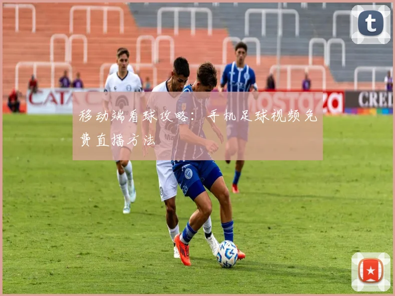 移动端看球攻略：手机足球视频免费直播方法